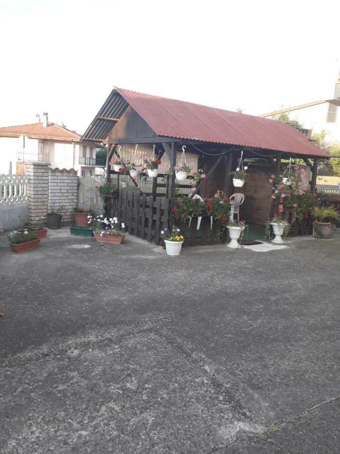Apartments Hrga Pula Zewnętrze zdjęcie