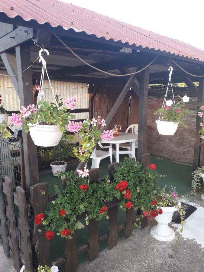 Apartments Hrga Pula Zewnętrze zdjęcie